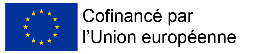 FSE (fonds social européen)